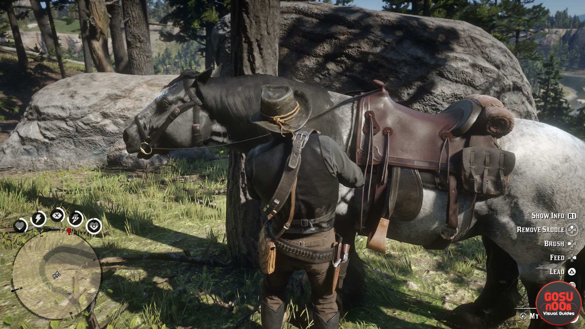 Detail How To Brush Horse Red Dead Redemption 2 Nomer 7