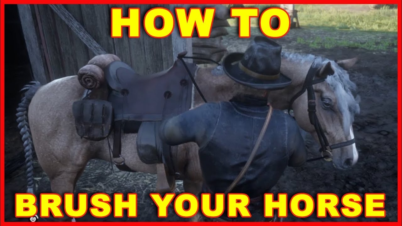 Detail How To Brush Horse Red Dead Redemption 2 Nomer 8