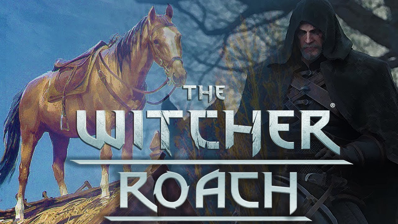 Detail How To Call Roach Witcher 3 Nomer 25