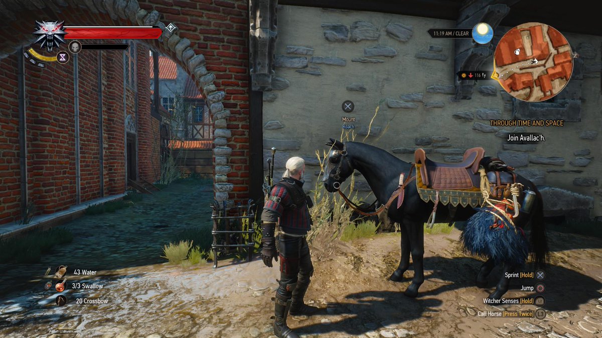 Detail How To Call Roach Witcher 3 Nomer 48