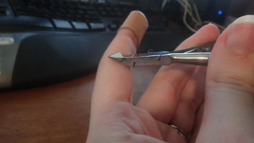 Detail How To Cut Sugar Glider Nails Nomer 22
