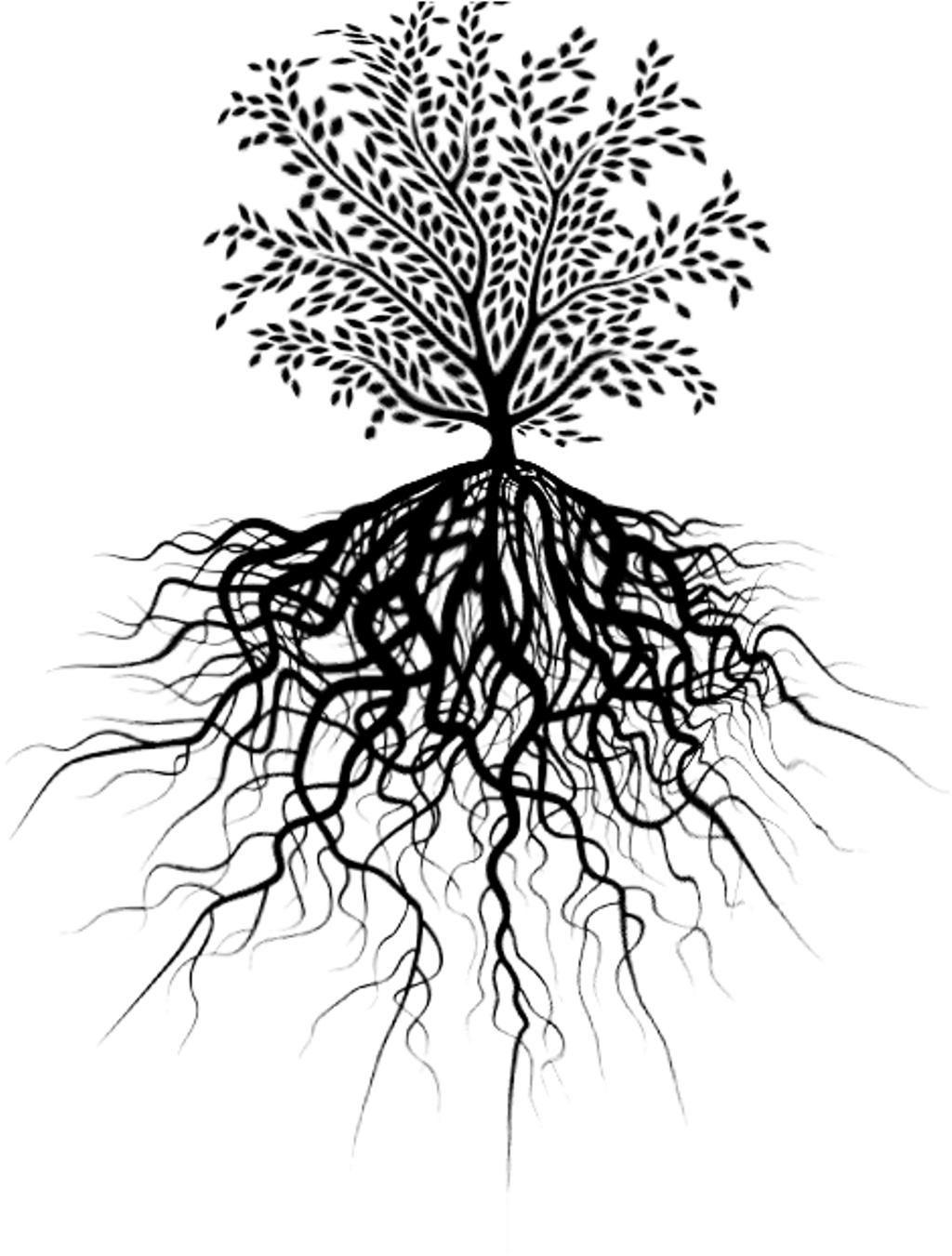 Detail How To Do Tree Of Life On Picsart Nomer 16