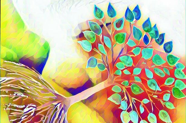 Detail How To Do Tree Of Life On Picsart Nomer 32