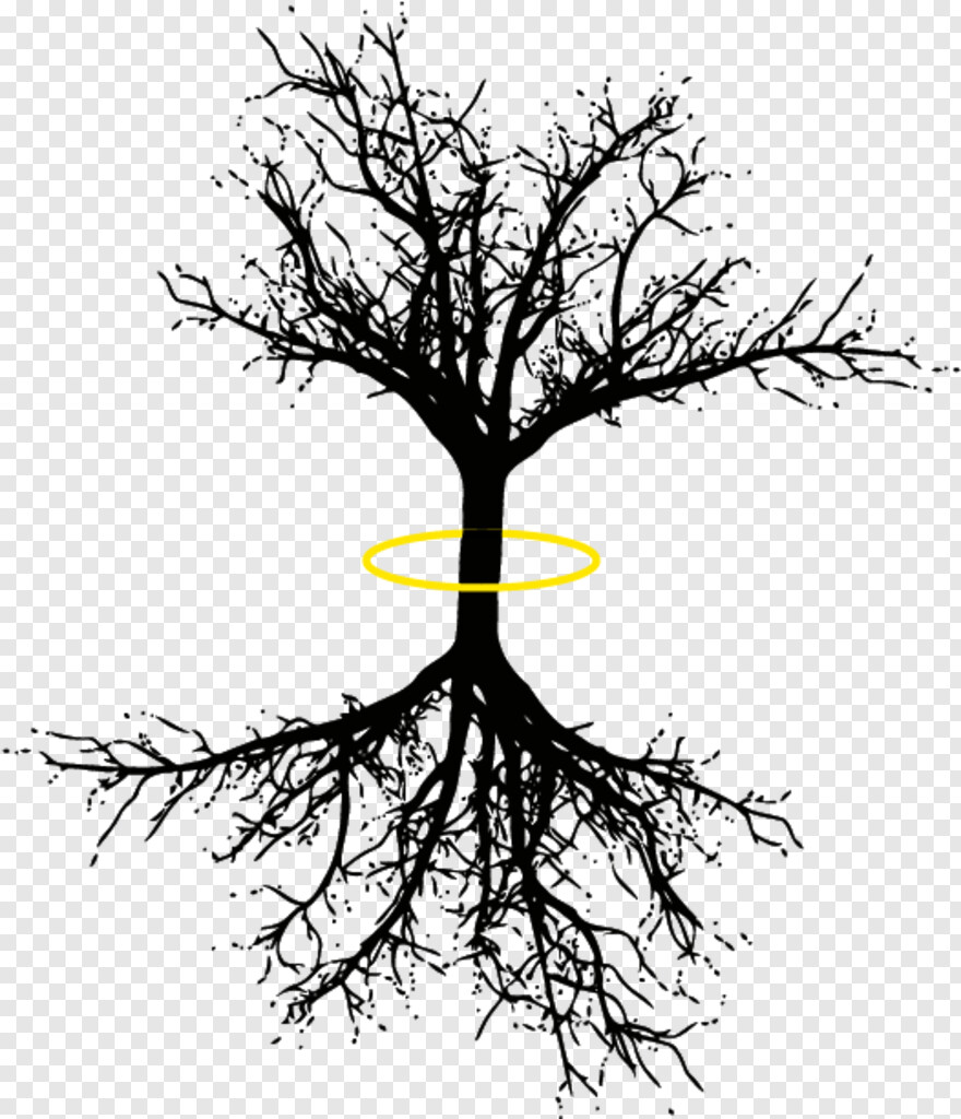 Detail How To Do Tree Of Life On Picsart Nomer 50
