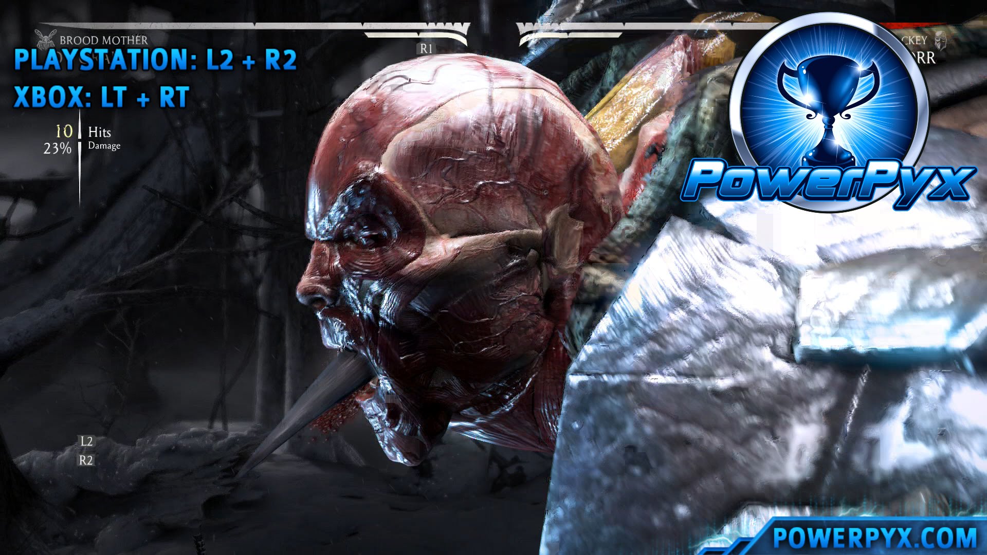 Detail How To Do Xray On Mortal Kombat X Ps4 Nomer 15