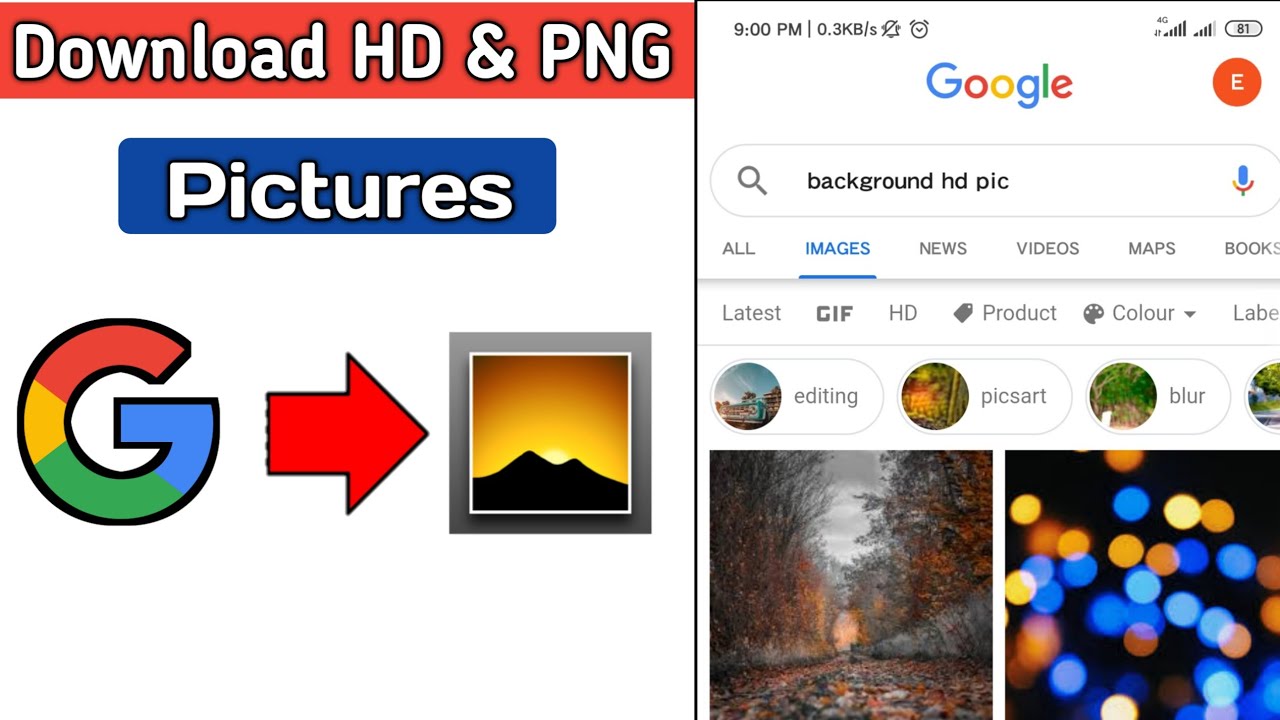 Detail How To Download Images From Google Nomer 55