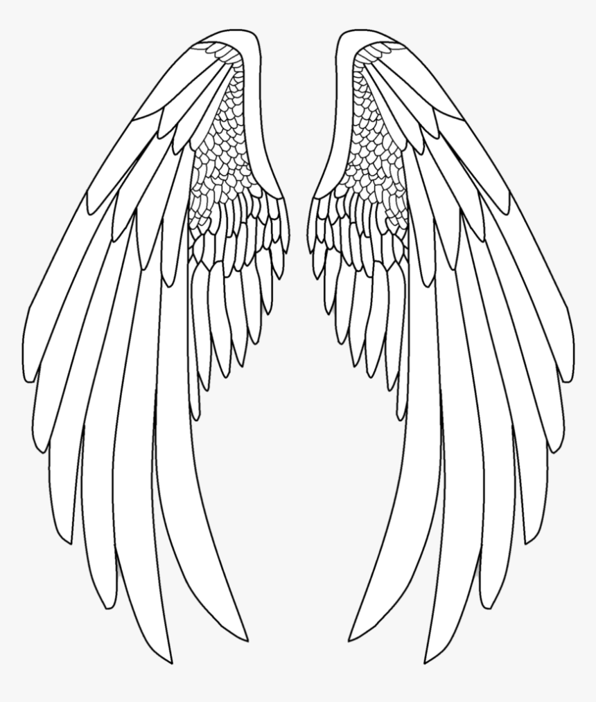 Detail How To Draw Angel Wings Nomer 38