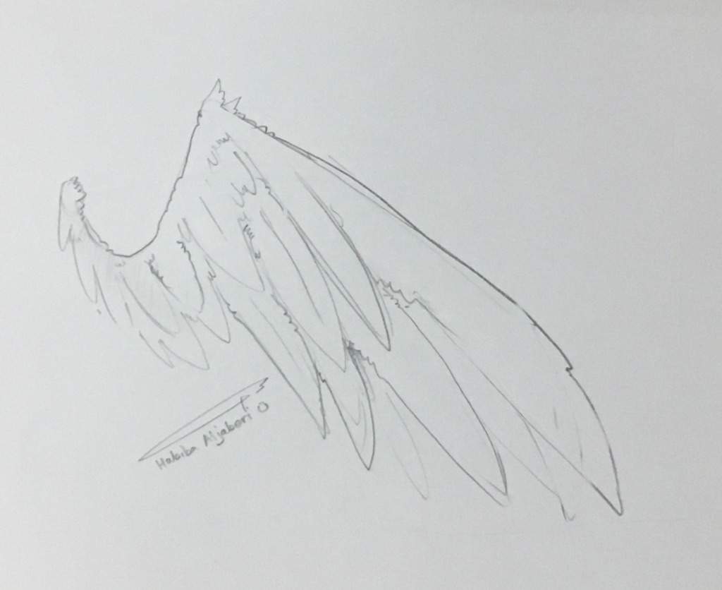 Detail How To Draw Angel Wings Nomer 43