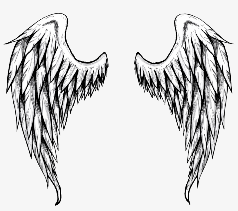 Detail How To Draw Angel Wings Nomer 45