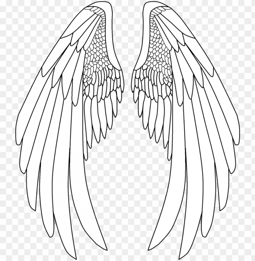 Detail How To Draw Anime Angel Wings Nomer 9