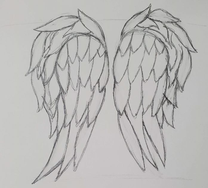 Detail How To Draw Anime Angel Wings Nomer 37