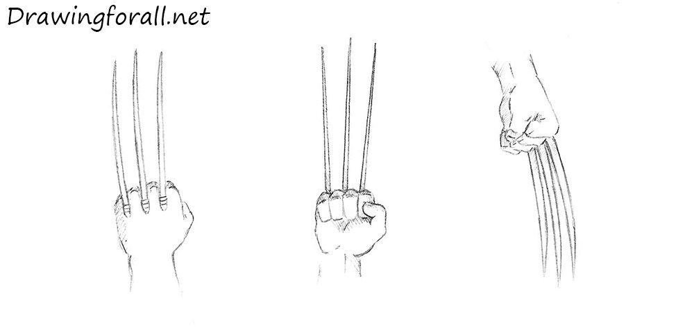 Detail How To Draw Wolverine Claws Nomer 4