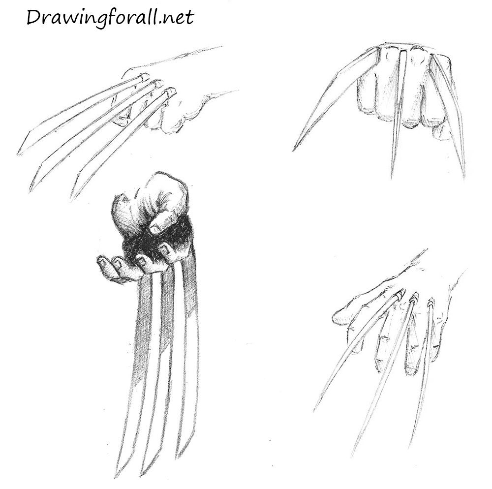 Detail How To Draw Wolverine Claws Nomer 5