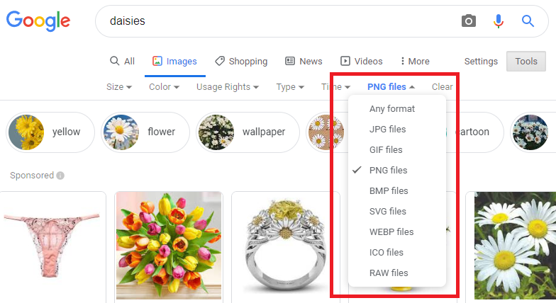 Detail How To Find Png Images On Google Nomer 3