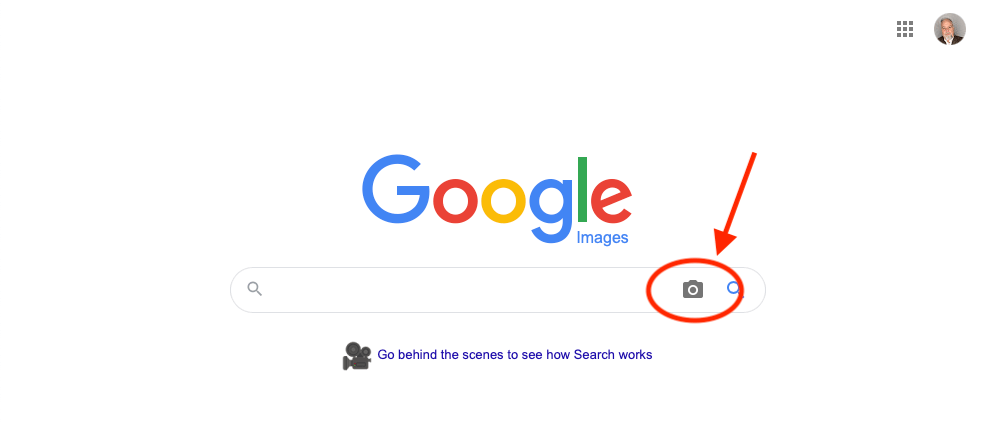 Detail How To Find Png Images On Google Nomer 35