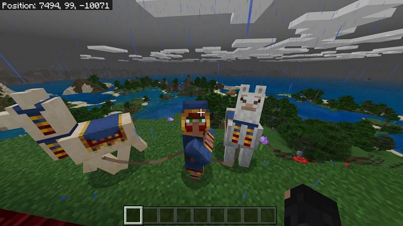 Detail How To Get A Donkey In A Boat Minecraft Nomer 25