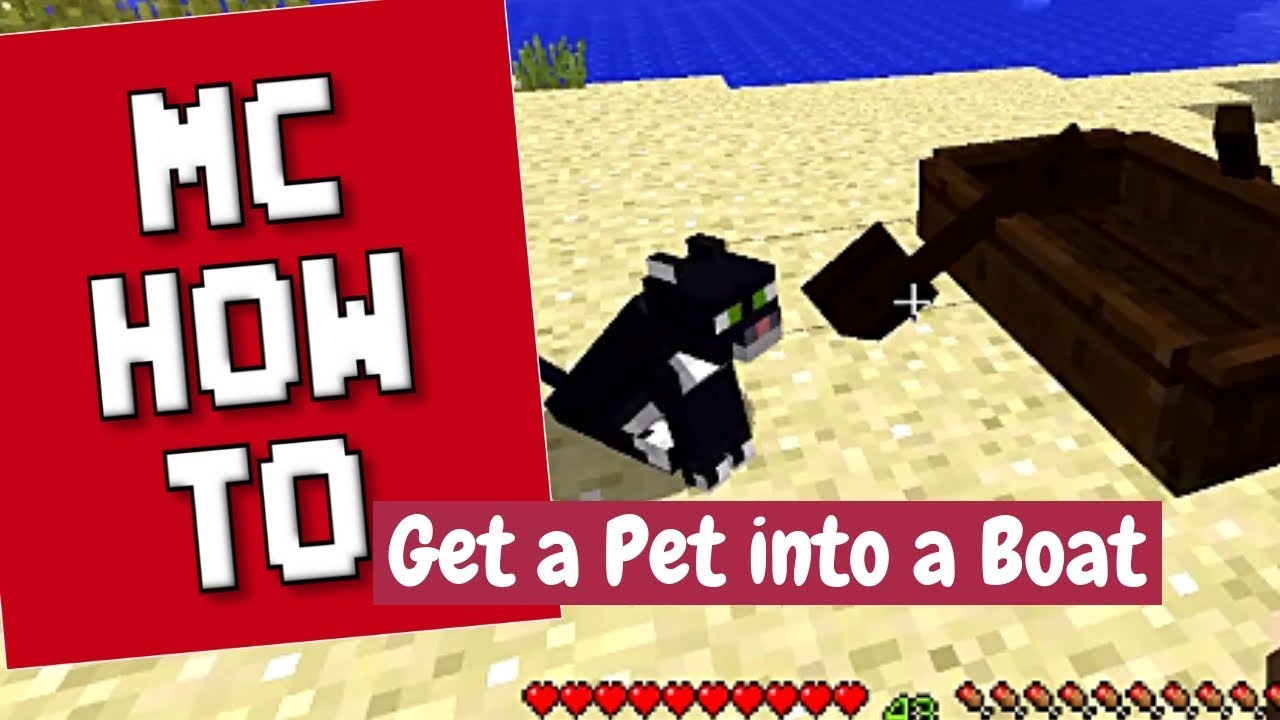 Detail How To Get A Donkey In A Boat Minecraft Nomer 34