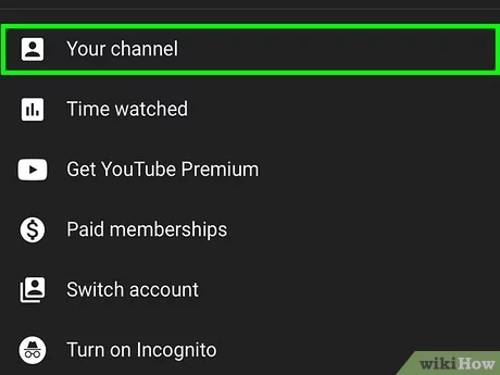 Detail How To Get Images From Youtube Videos Nomer 30
