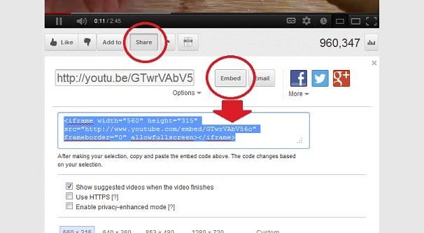 Detail How To Get Images From Youtube Videos Nomer 5