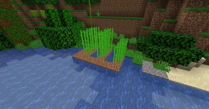 Detail How To Get Sugar Cane Seeds In Minecraft Nomer 8