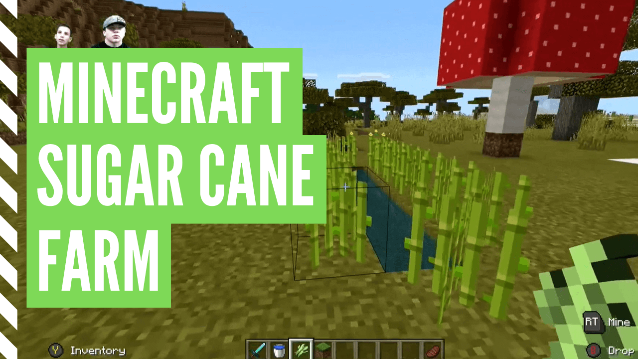 Detail How To Get Sugar Cane Seeds In Minecraft Nomer 9