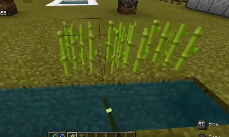 Detail How To Get Sugar Cane Seeds In Minecraft Nomer 15