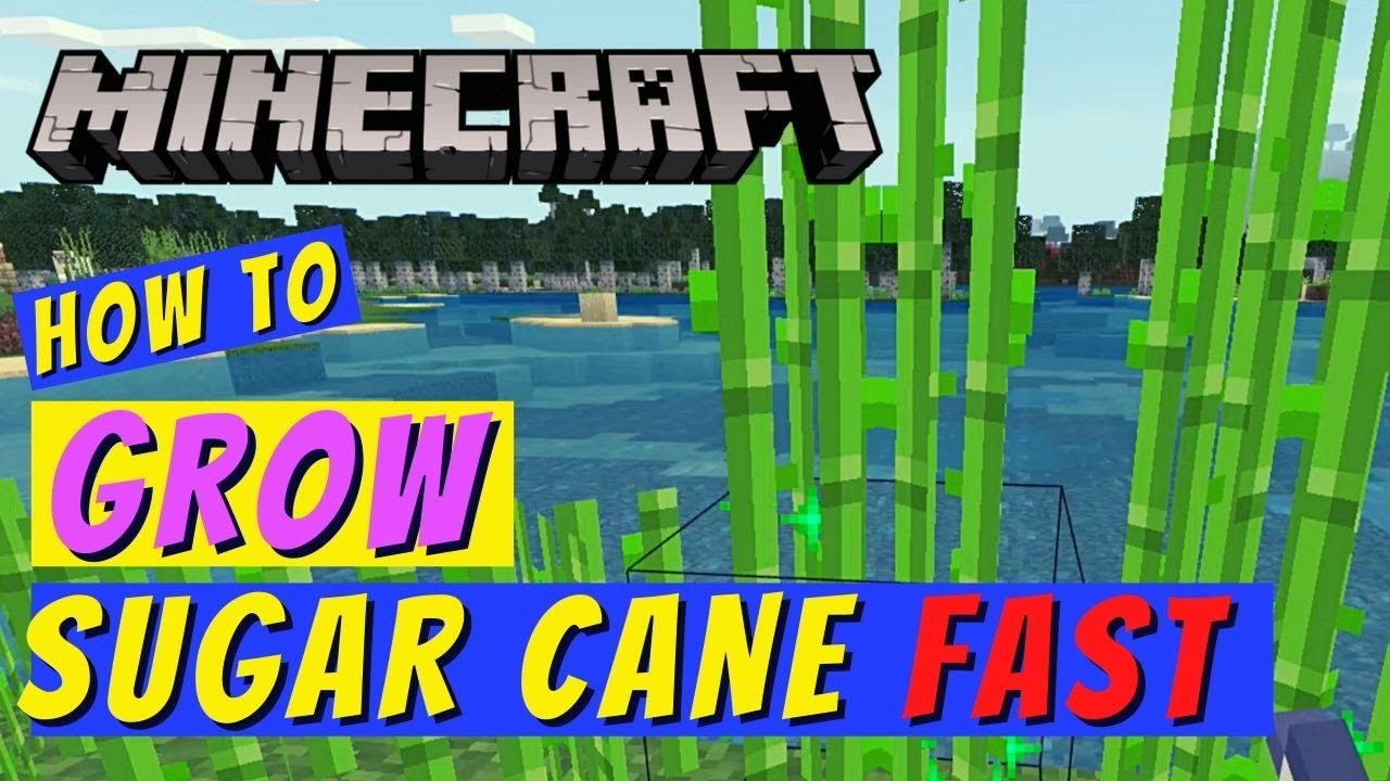Detail How To Get Sugar Cane Seeds In Minecraft Nomer 16