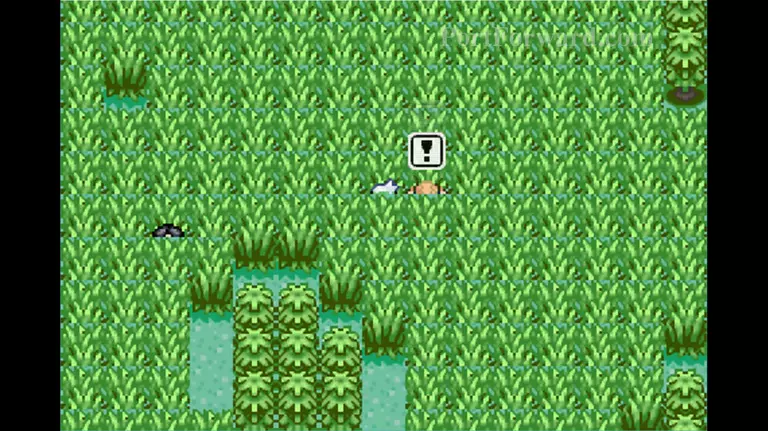 Detail How To Get To Route 119 In Pokemon Emerald Nomer 21