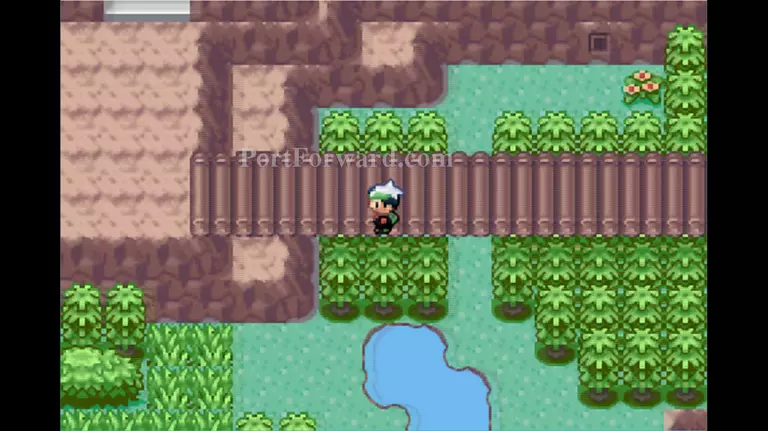 Detail How To Get To Route 119 In Pokemon Emerald Nomer 28