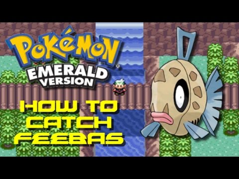 Detail How To Get To Route 119 In Pokemon Emerald Nomer 32