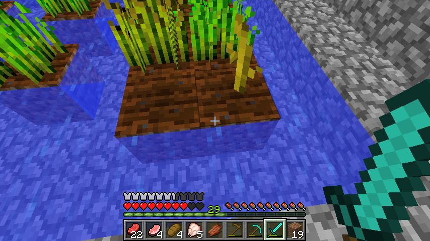 Detail How To Get Watermelon Seeds In Minecraft Nomer 18