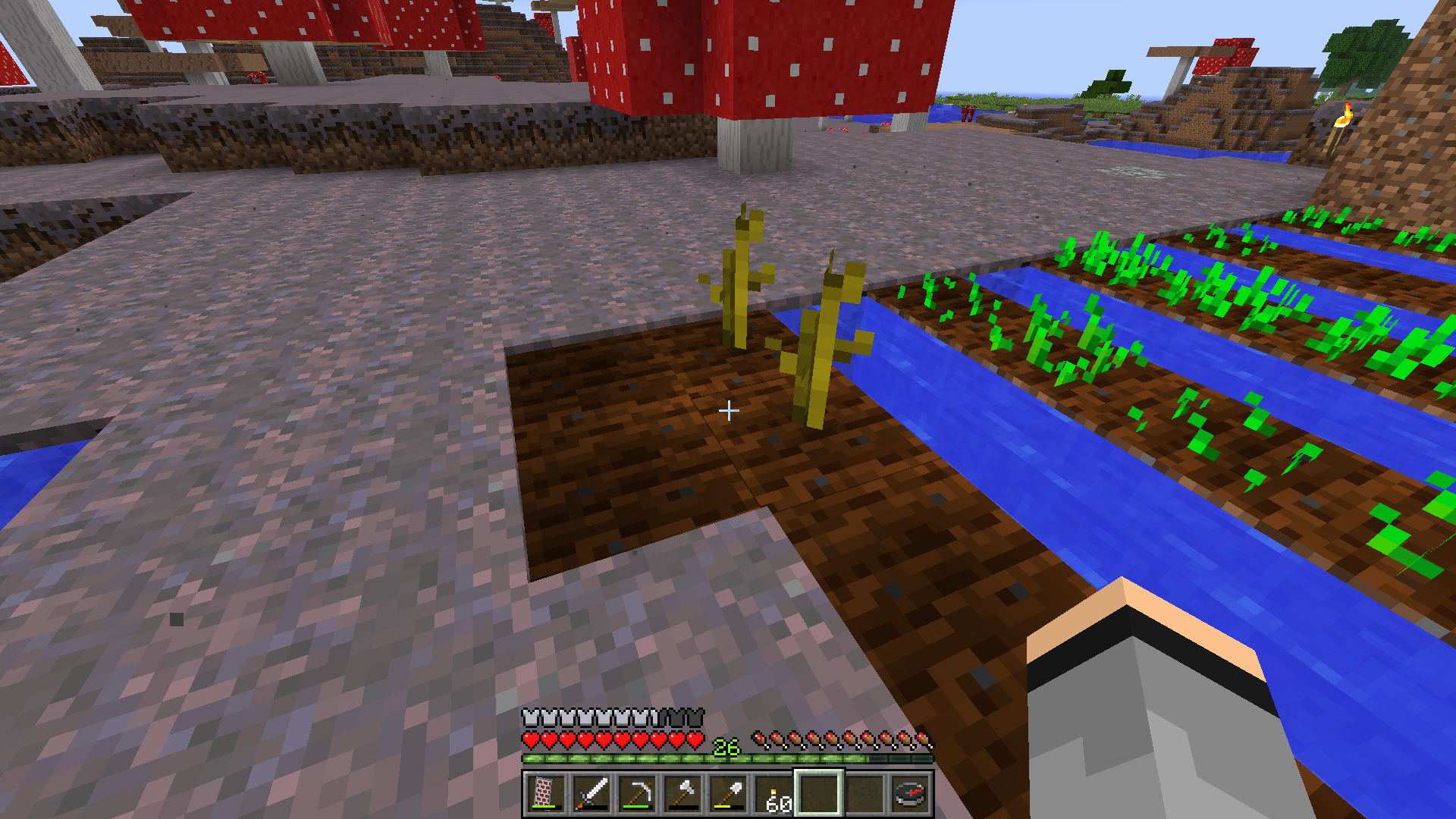 Detail How To Get Watermelon Seeds In Minecraft Nomer 27