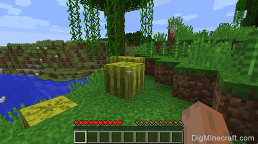 Detail How To Get Watermelon Seeds In Minecraft Nomer 29