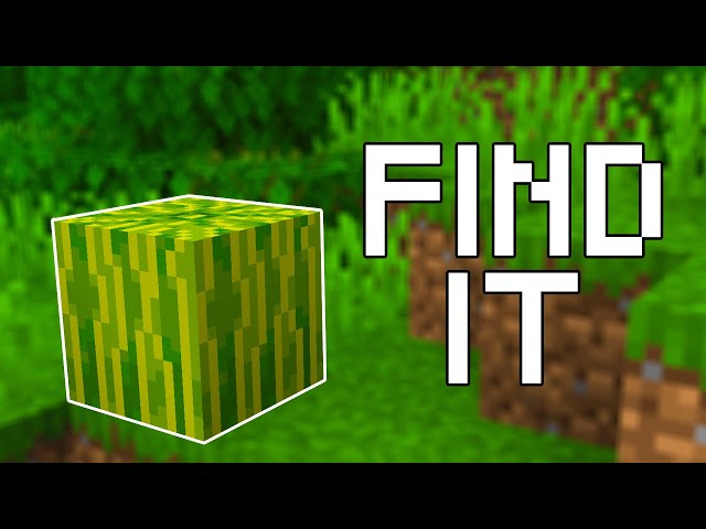 Detail How To Get Watermelon Seeds In Minecraft Nomer 37