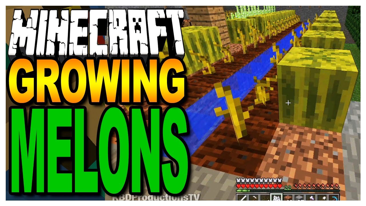 Detail How To Get Watermelon Seeds In Minecraft Nomer 7