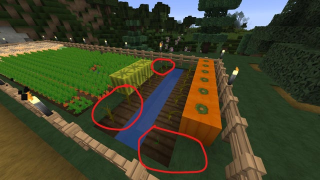 Detail How To Get Watermelon Seeds Minecraft Nomer 29