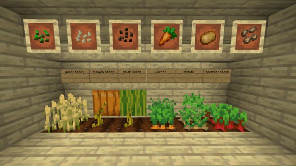 Detail How To Get Watermelon Seeds Minecraft Nomer 47