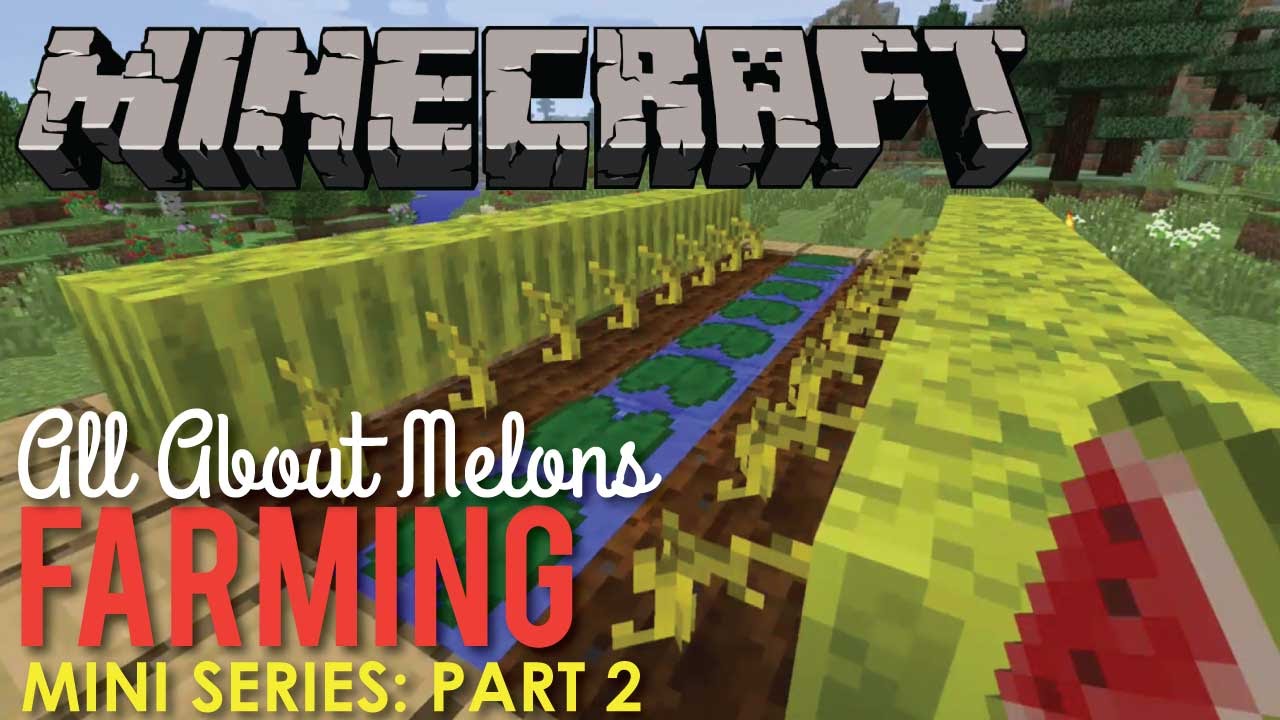 Detail How To Get Watermelon Seeds Minecraft Nomer 7