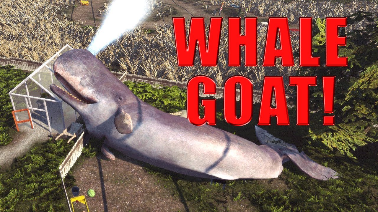 Detail How To Get Whale Goat In Goat Simulator Nomer 4