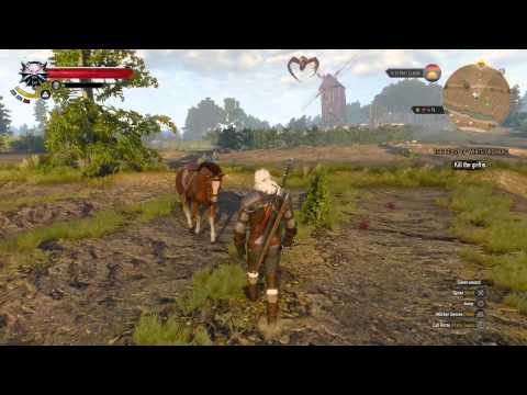 Detail How To Get White Gull Witcher 3 Nomer 50