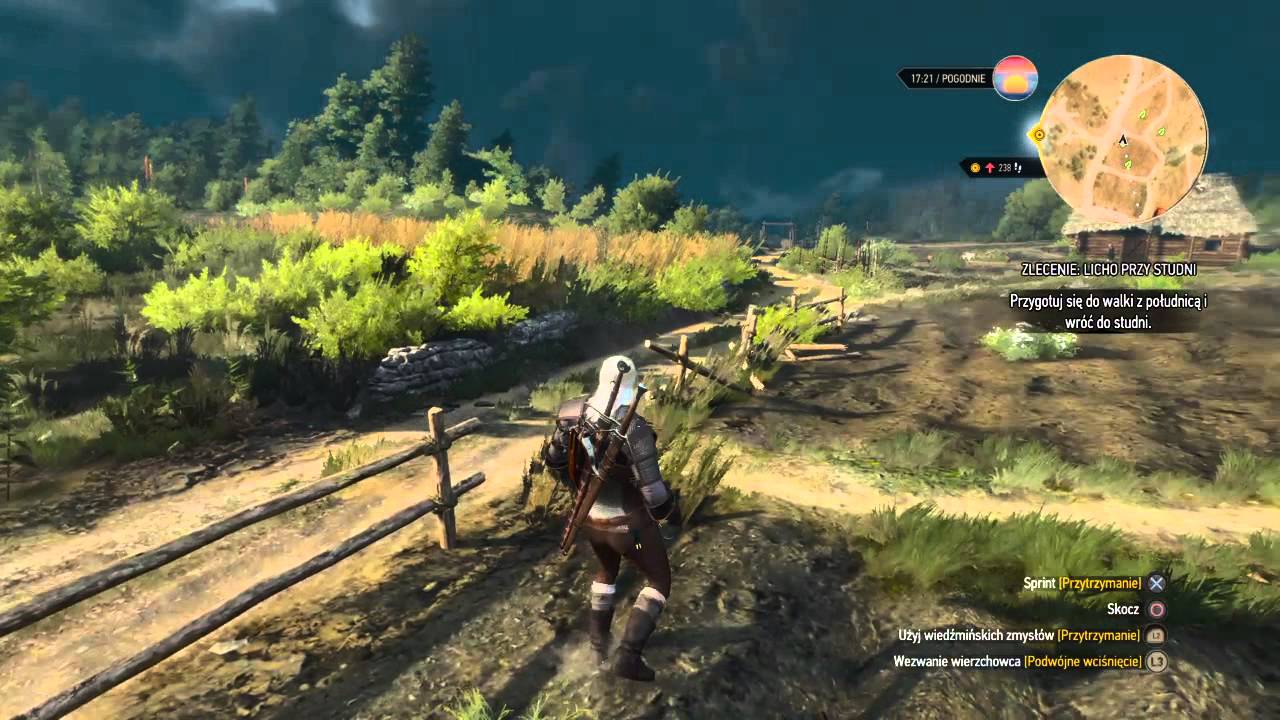 Detail How To Get White Gull Witcher 3 Nomer 52