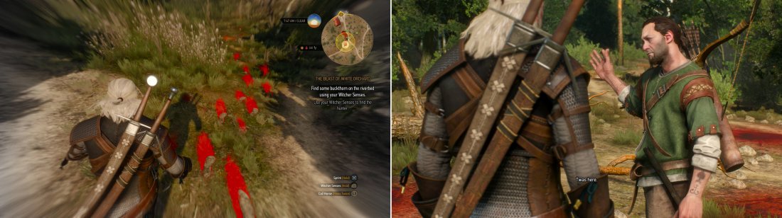 Detail How To Get White Gull Witcher 3 Nomer 53