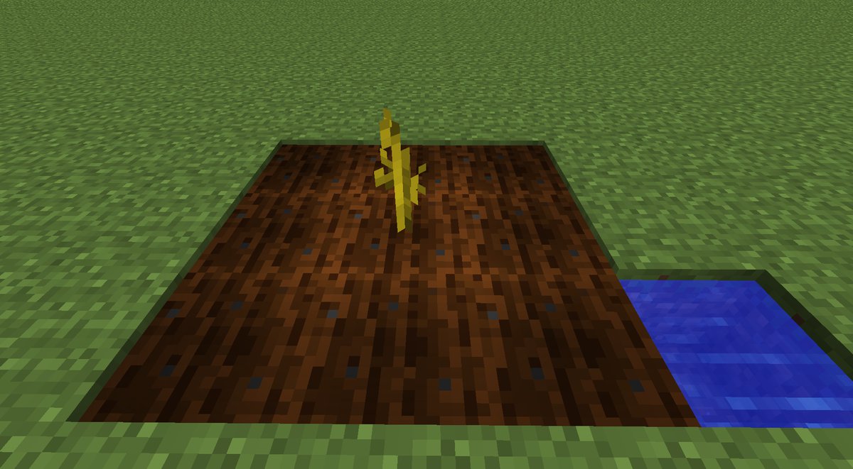 Detail How To Grow Melon Minecraft Nomer 21