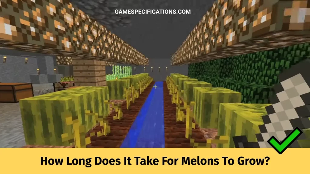 Detail How To Grow Melon Minecraft Nomer 29