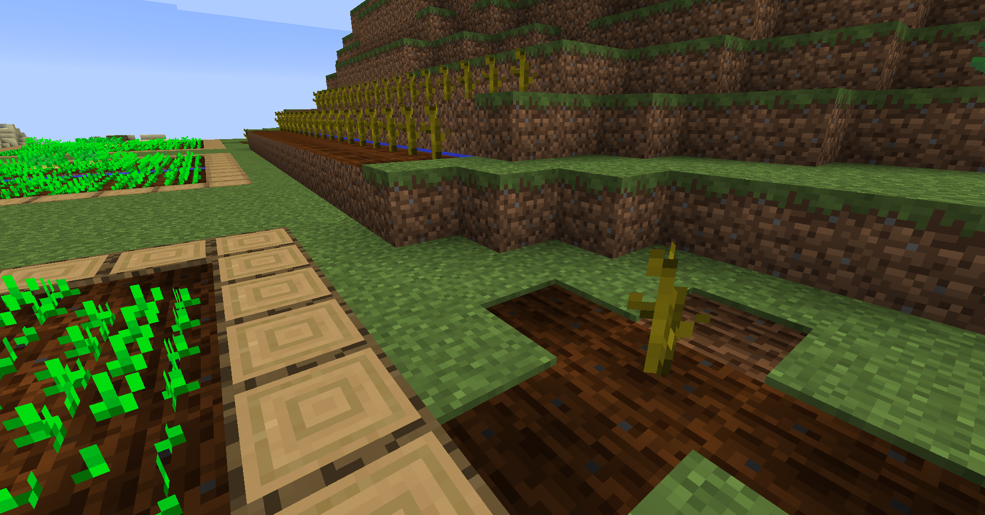 Detail How To Grow Melon Minecraft Nomer 30