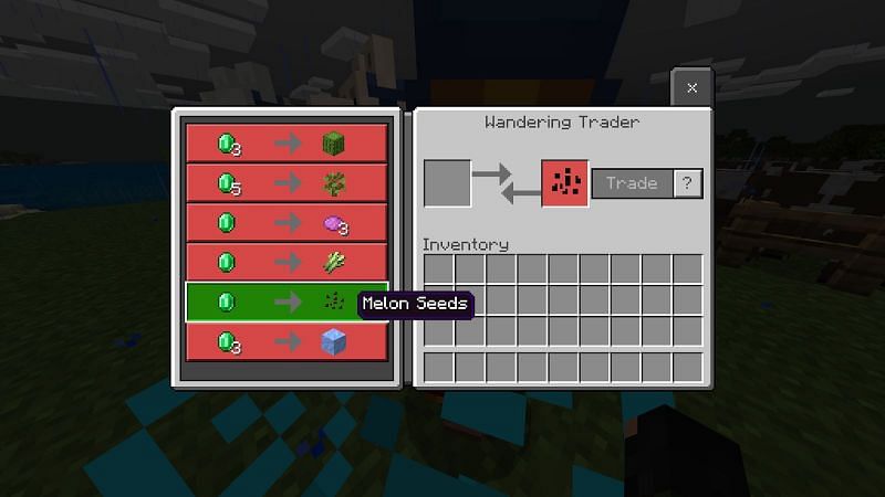 Detail How To Grow Melon Minecraft Nomer 31