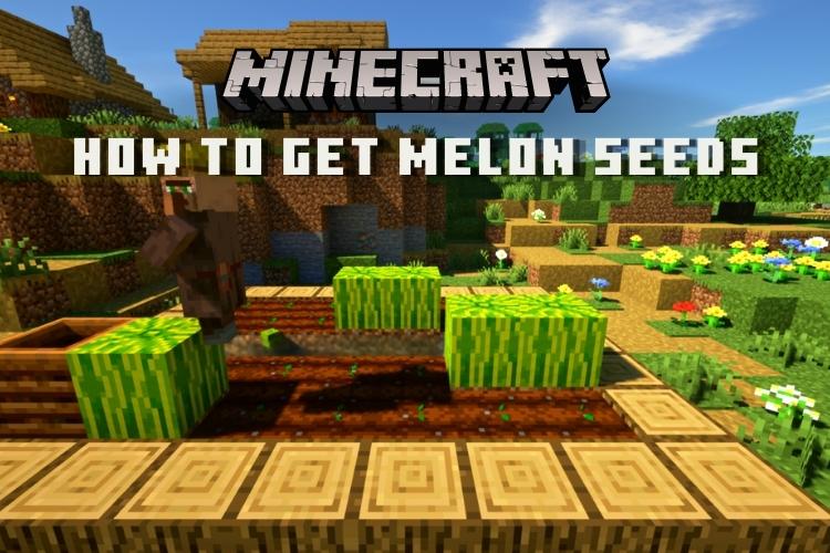 Detail How To Grow Melon Minecraft Nomer 39