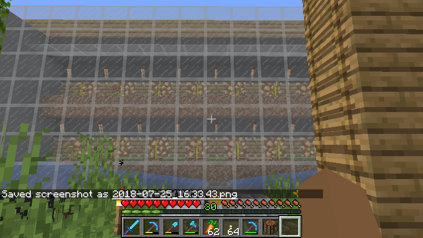 Detail How To Grow Melon Minecraft Nomer 42