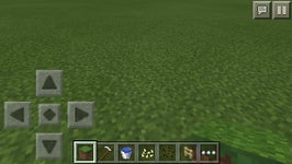 Detail How To Grow Melon Minecraft Nomer 43
