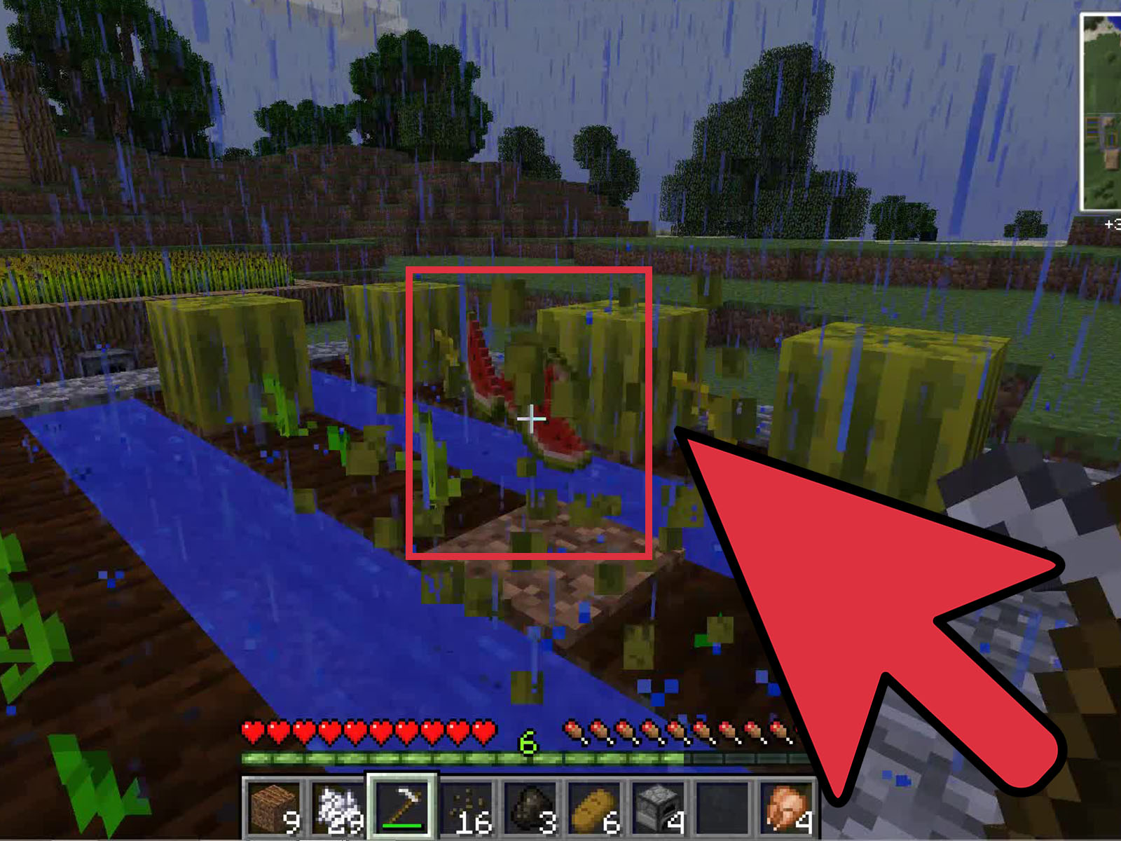Detail How To Grow Melon Minecraft Nomer 47